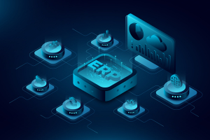 ERP development